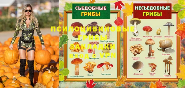 кокаин Бородино
