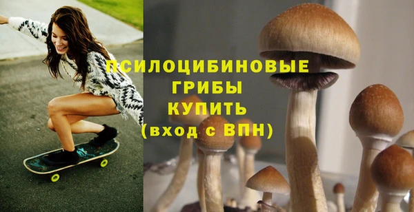 прущие крисы Бронницы