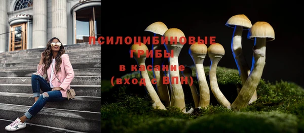 прущие крисы Бронницы