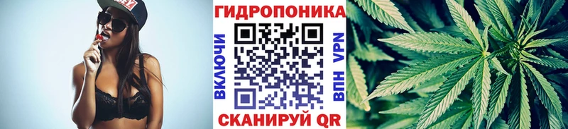 МАРИХУАНА сатива  Стерлитамак 